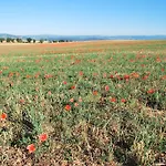 Bed & Breakfast Bastide La Guerine Valensole