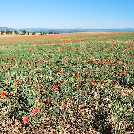 ベッド・アンド・ブレックファスト Bastide La Guerine ヴァロンソル