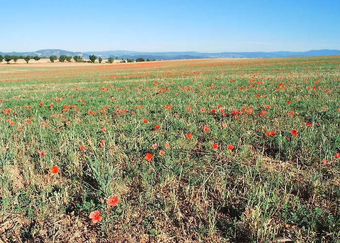 Bed & Breakfast Bastide La Guerine Valensole